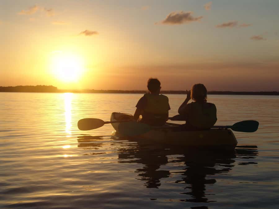 Noosa Heads: Hidden Waterways Wildlife Kayak (Self-Guided) - Is $41 good value?