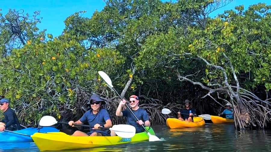 Noosa Heads: Hidden Waterways Wildlife Kayak (Self-Guided) - Easy paddling in a sit-on-top kayak