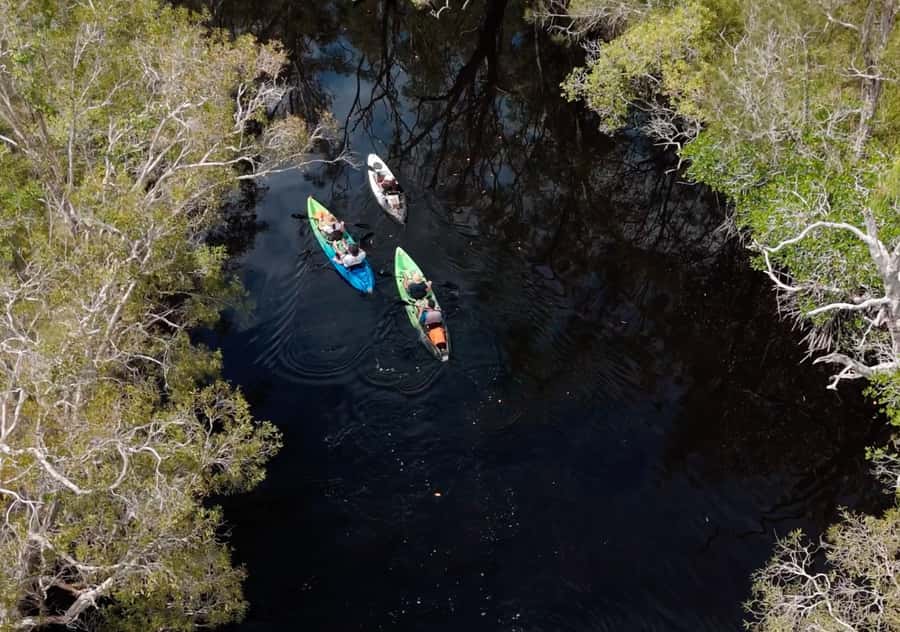 Noosa: Noosa Everglades and Stingray Sanctuary Kayak Tour - Starting at Lake Weyba, close to Noosa