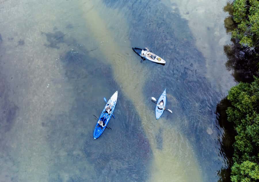 Noosa: Noosa Everglades and Stingray Sanctuary Kayak Tour - From open lake to quiet waterways
