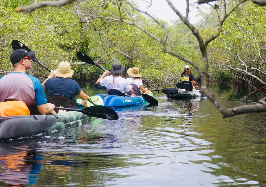 Noosa: Noosa Everglades and Stingray Sanctuary Kayak Tour - Swimming in Lake Weyba