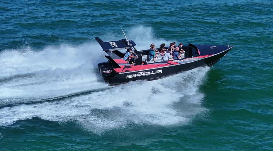 Noosa; Noosa Ocean Adventures - Whale Watching - Who should book this Noosa whale tour?