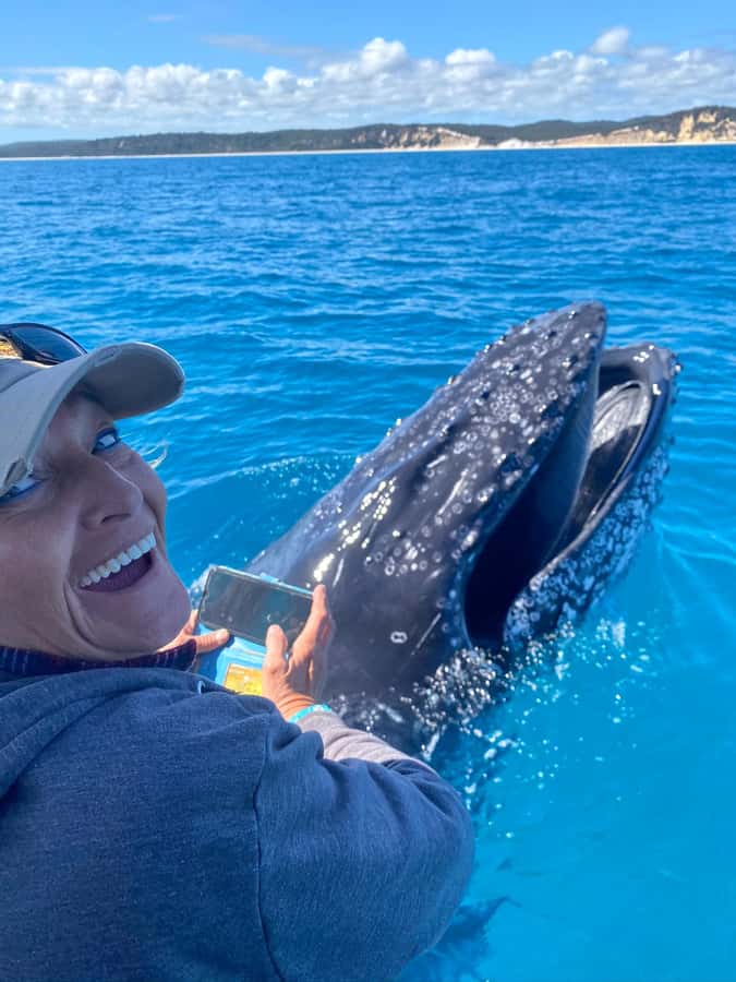 Noosa; Noosa Ocean Adventures - Whale Watching - A 12-passenger boat changes the experience