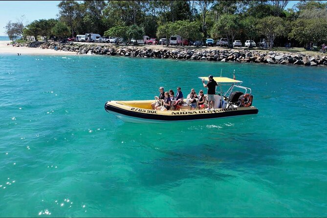 Noosa Ocean adventure & Dolphin Safari. - Key points to know before you book