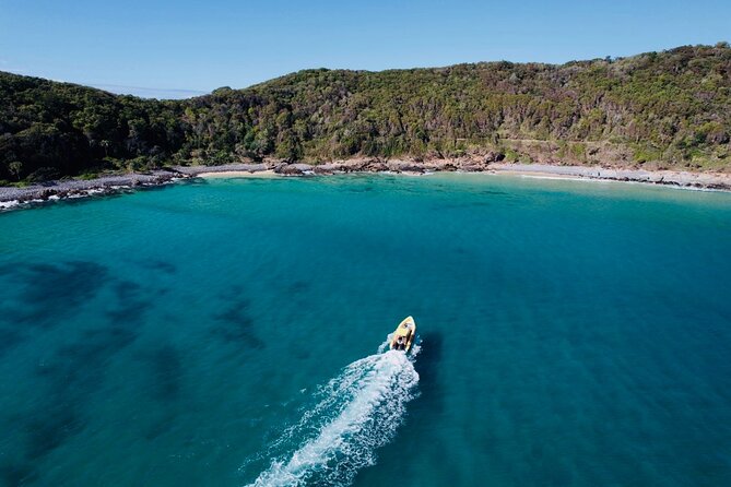 Noosa Ocean adventure & Dolphin Safari. - Alexander Bay and the local dolphin range