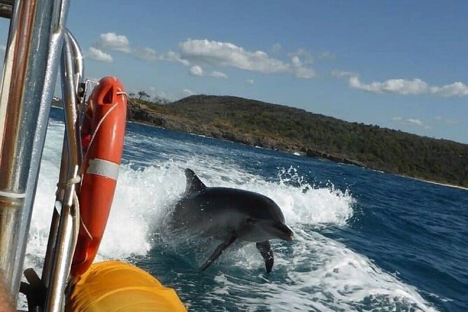 Noosa Ocean adventure & Dolphin Safari. - Seeing Noosa from Main Beach to the headlands