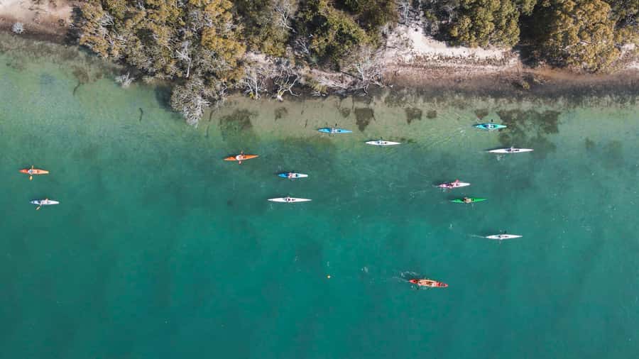Noosa River: Mangroves and Mansions Guided Kayak Tour - Key points to know before you paddle