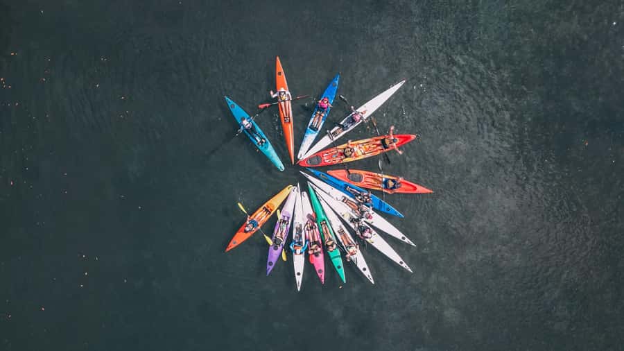 Noosa River: Mangroves and Mansions Guided Kayak Tour - Learning in a sit-on-top kayak