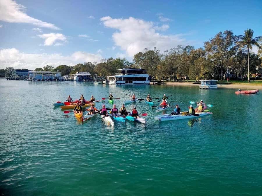Noosa River: Mangroves and Mansions Guided Kayak Tour - How much value do you get for $59?