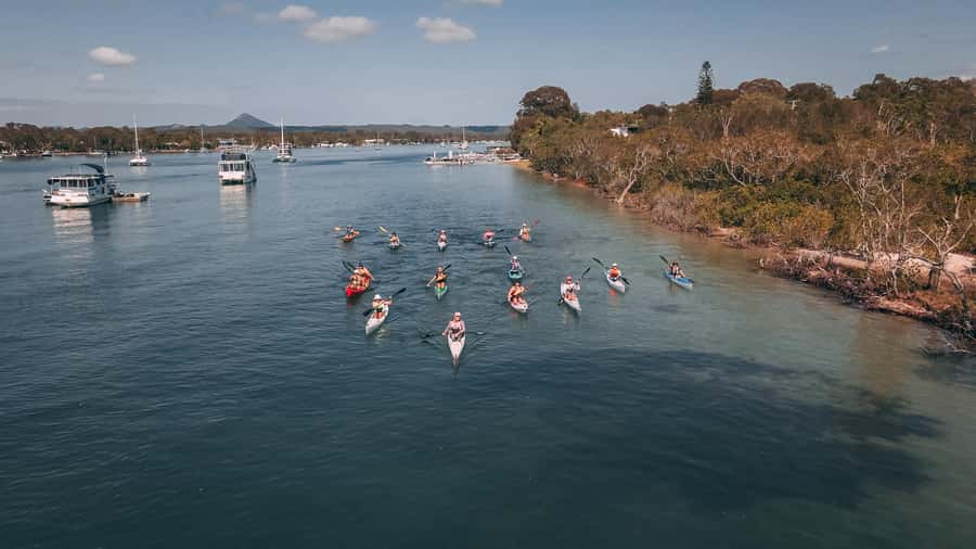 Noosa River: Mangroves and Mansions Guided Kayak Tour - Practical tips for a smoother paddle