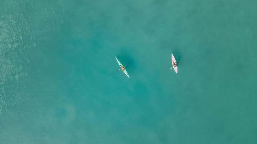 Noosa River: Mangroves and Mansions Guided Kayak Tour - Starting at The Jetty in Noosaville