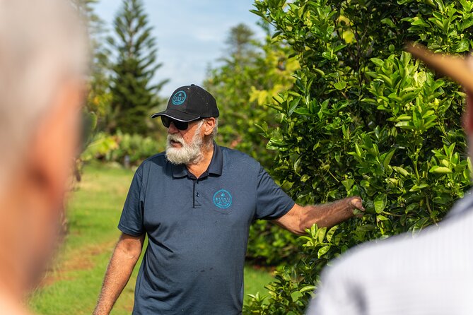 Norfolk Island Progressive Dinner to Island Homes - Food, drinks, and what is included