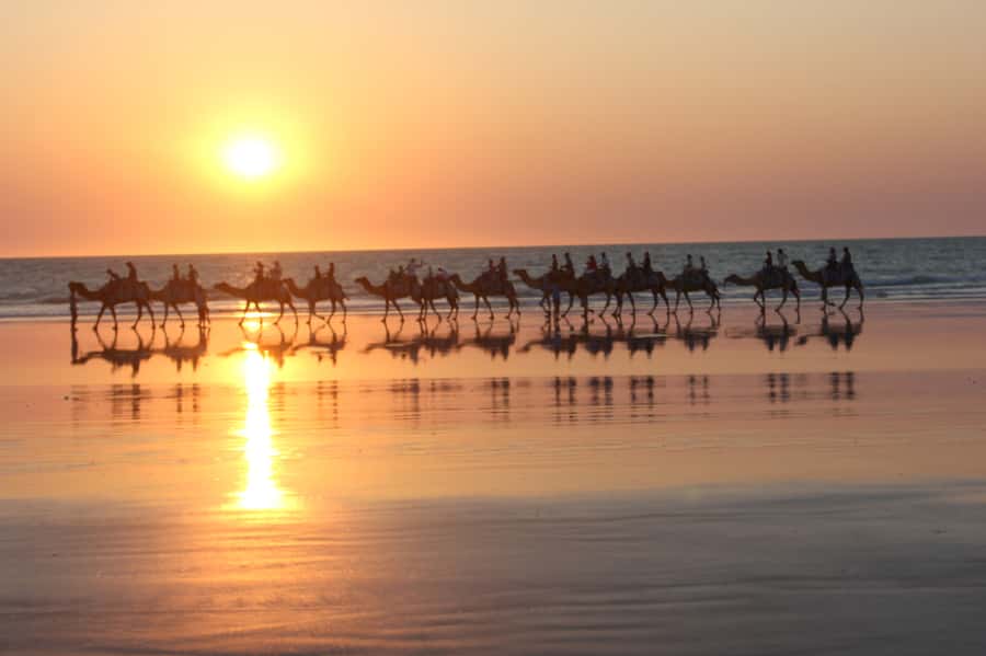 North of Rocks on Cable Beach: 1-Hour Sunset Camel Ride - Key points at a glance