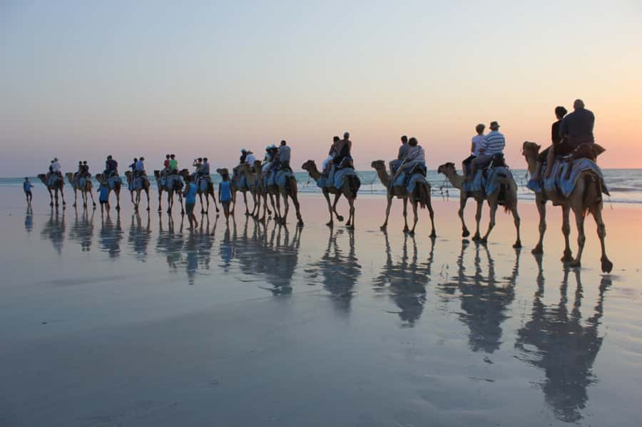 North of Rocks on Cable Beach: 1-Hour Sunset Camel Ride - Alison Bird’s safety talk and camel selection