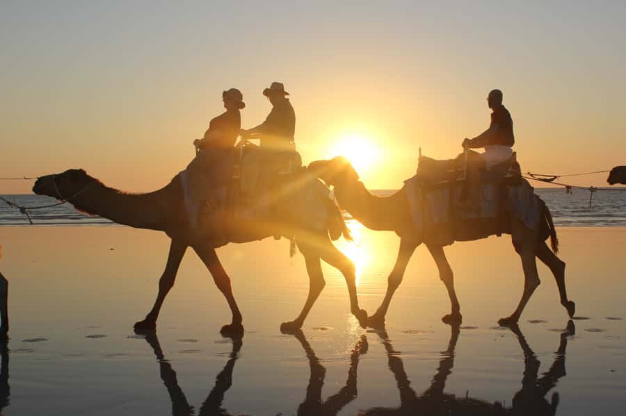 North of Rocks on Cable Beach: 1-Hour Sunset Camel Ride - Meeting the camels north of the rocks