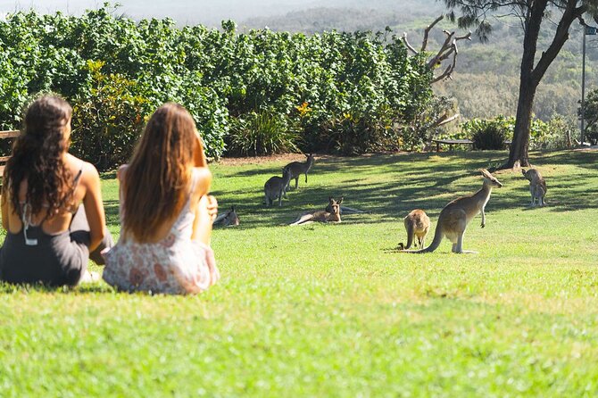 North Stradbroke Island Day Tour from Brisbane – Small Group - North Gorge Walk is the day’s signature outing