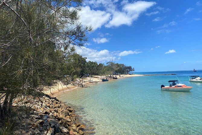 North Stradbroke Island WILDLIFE Adventure Tour from Brisbane - Key details that shape the day
