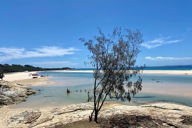 North Stradbroke Island WILDLIFE Adventure Tour from Brisbane - Why North Stradbroke Island makes a strong day trip