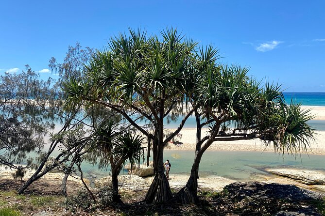 North Stradbroke Island WILDLIFE Adventure Tour from Brisbane - Point Lookout and a flexible lunch break