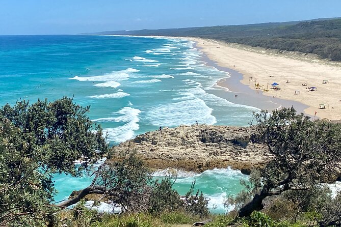 North Stradbroke Island WILDLIFE Adventure Tour from Brisbane - Amity Point, beach time, and wildlife searching