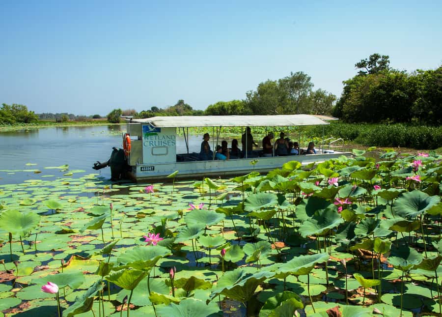 Northern Territory: Corroboree Billabong Nature Cruises - Key points to know before you book