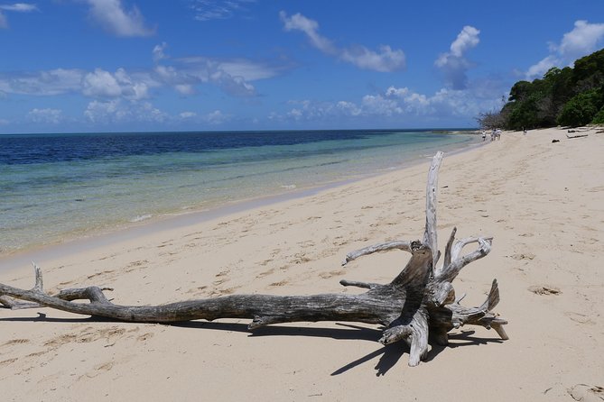 Ocean Free 25 guest Great Barrier Reef & visit Green Island Tour - Green Island offers solid ground and a different kind of reef day
