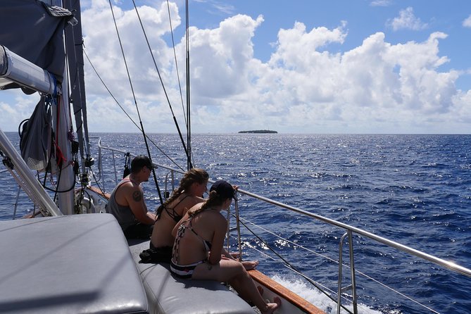 Ocean Free 25 guest Great Barrier Reef & visit Green Island Tour - What the $200.11 price really covers