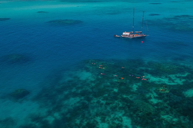 Ocean Free 25 guest Great Barrier Reef & visit Green Island Tour - Lunch on board and a welcome break from the water