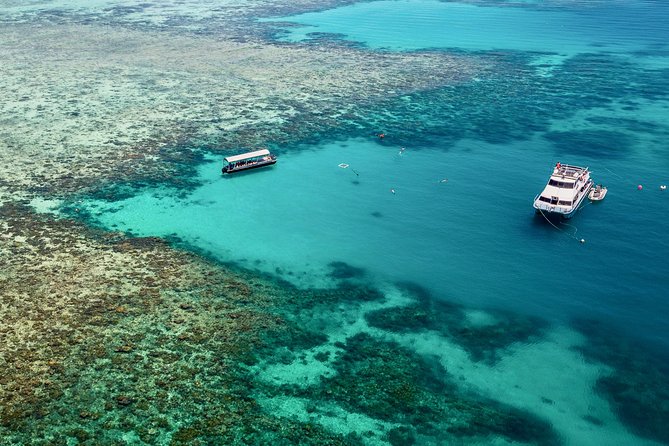 Ocean Freedom Great Barrier Reef Luxury Snorkel and Dive Cruise - Upolu Cay: a gentle start in shallow water