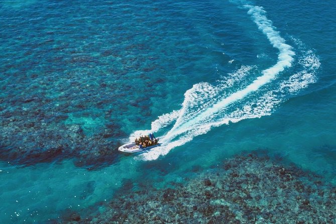 Ocean Freedom Great Barrier Reef Luxury Snorkel and Dive Cruise - What the day is like in the water