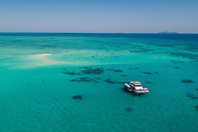Ocean Freedom Great Barrier Reef Luxury Snorkel and Dive Cruise - Lunch, snacks, and what is included