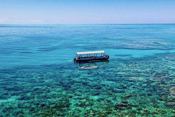 Ocean Freedom Great Barrier Reef Luxury Snorkel and Dive Cruise - Is the $181.28 price good value?