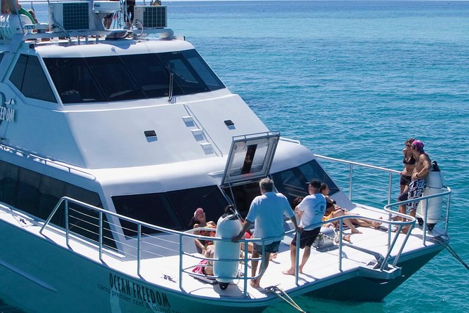 Ocean Freedom Great Barrier Reef Luxury Snorkel and Dive Cruise - Practical details before you go