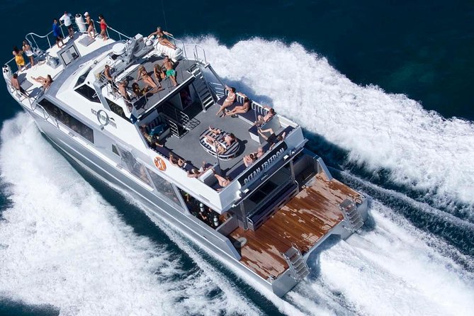 Ocean Freedom Great Barrier Reef Luxury Snorkel and Dive Cruise - Wonder Wall: the more dramatic reef stop