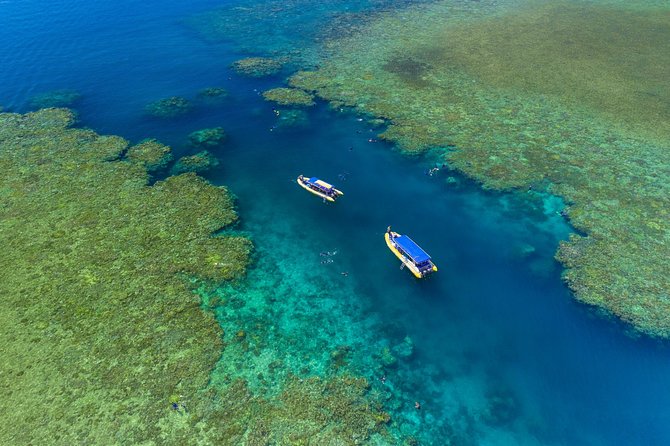 Ocean Rafting: Whitehaven Beach, Snorkelling & Hill Inlet Lookout - A guide-led national park visit, not just a boat ride