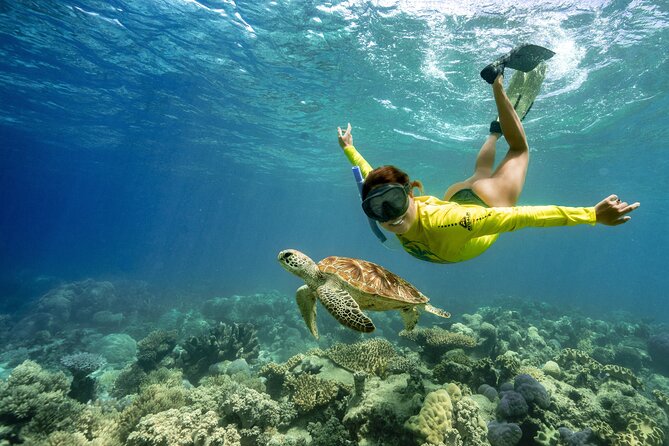 Ocean Safari Great Barrier Reef Experience in Cape Tribulation - Key points to know before booking