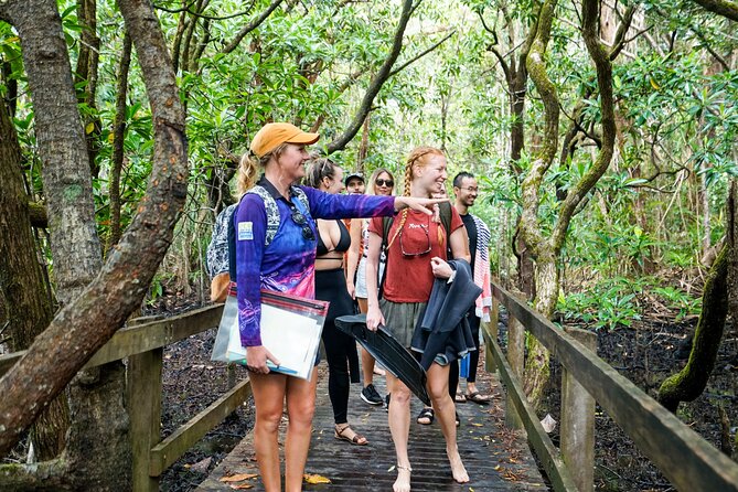 Ocean Safari Great Barrier Reef Experience in Cape Tribulation - Guided help for mixed swimming abilities