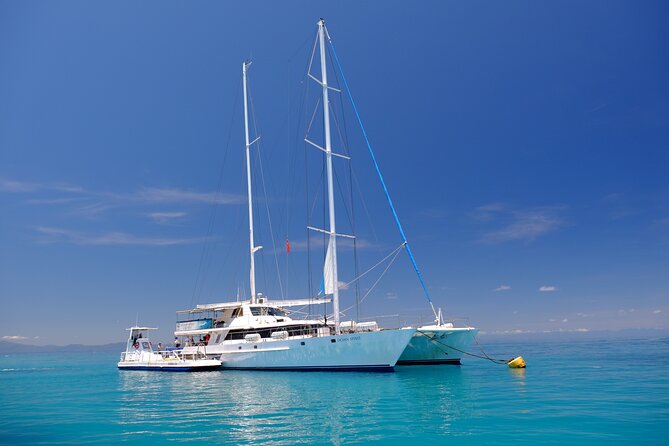 Ocean Spirit Sail to Michaelmas Cay Snorkel or Dive, from Cairns - Why Michaelmas Cay is different from a standard reef trip