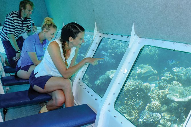 Ocean Spirit Sail to Michaelmas Cay Snorkel or Dive, from Cairns - Seeing the reef from the semi-submarine