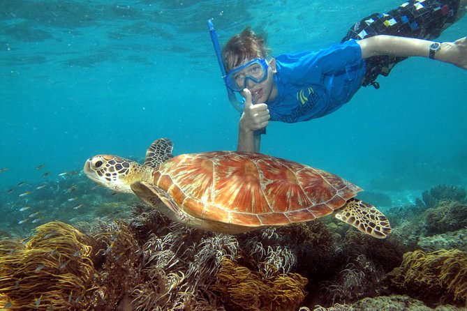 Ocean Spirit Sail to Michaelmas Cay Snorkel or Dive, from Cairns - Boarding Ocean Spirit in Cairns