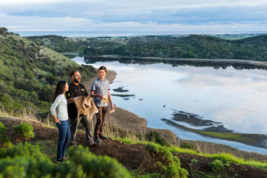 Oceans to Mountains Explorer: 3-Day Great Ocean Road Tour - Who will enjoy this trip most?