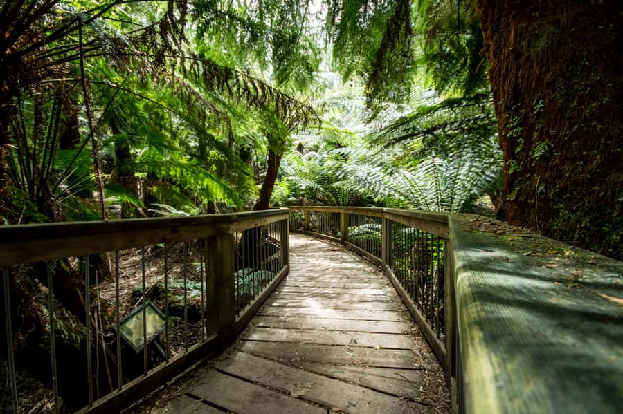 Oceans to Mountains Explorer: 3-Day Great Ocean Road Tour - Day 3: Mackenzie Falls, Boroka Lookout, and The Balconies
