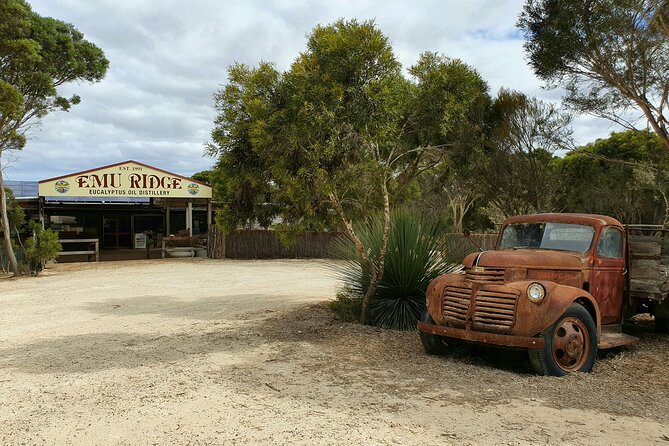 One Day Kangaroo Island Sip & See tour with return ferry transfers from Adelaide - Clifford’s Honey Farm and Kangaroo Island Ligurian honey