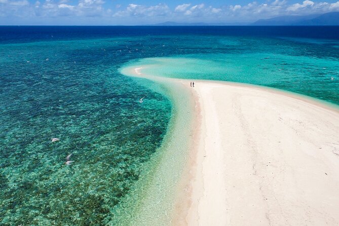 Outer Reef Mackay Cay Sail & Snorkel Adventure from Port Douglas - Who will enjoy this reef trip most