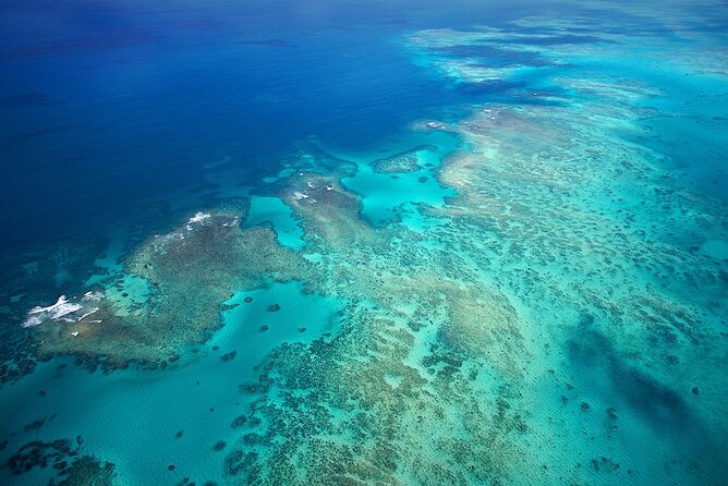 Outer Reef Odyssey - 40 minute Reef Scenic Flight - The value of a small aircraft