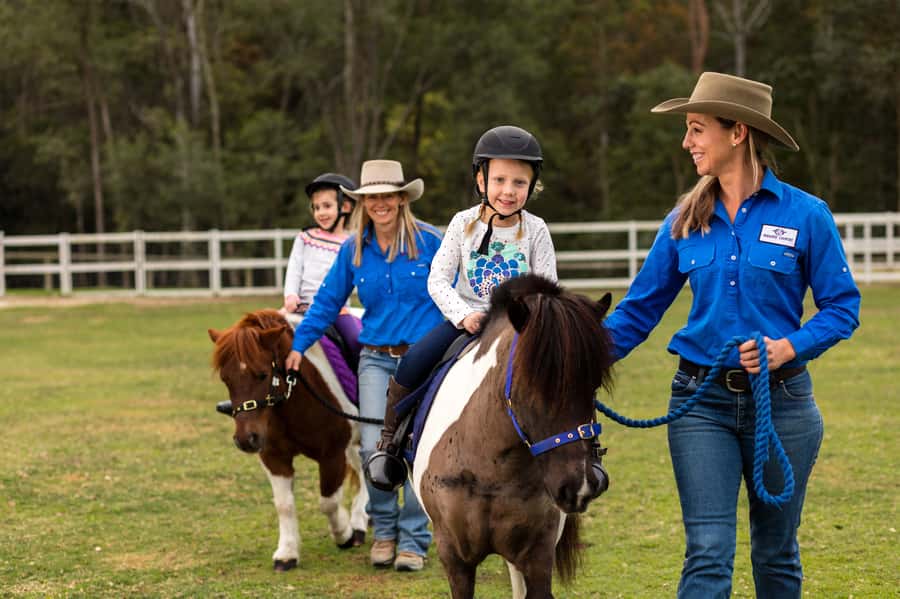 Paradise Country: Ultimate Aussie Farm Experience - How I would plan the visit