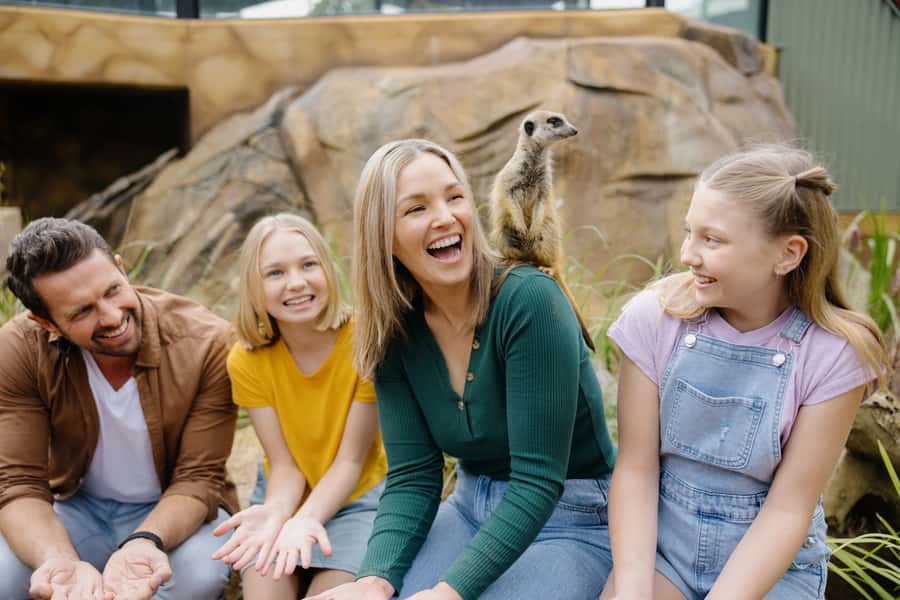 Paradise Country: Ultimate Aussie Farm Experience - What Paradise Country is really about