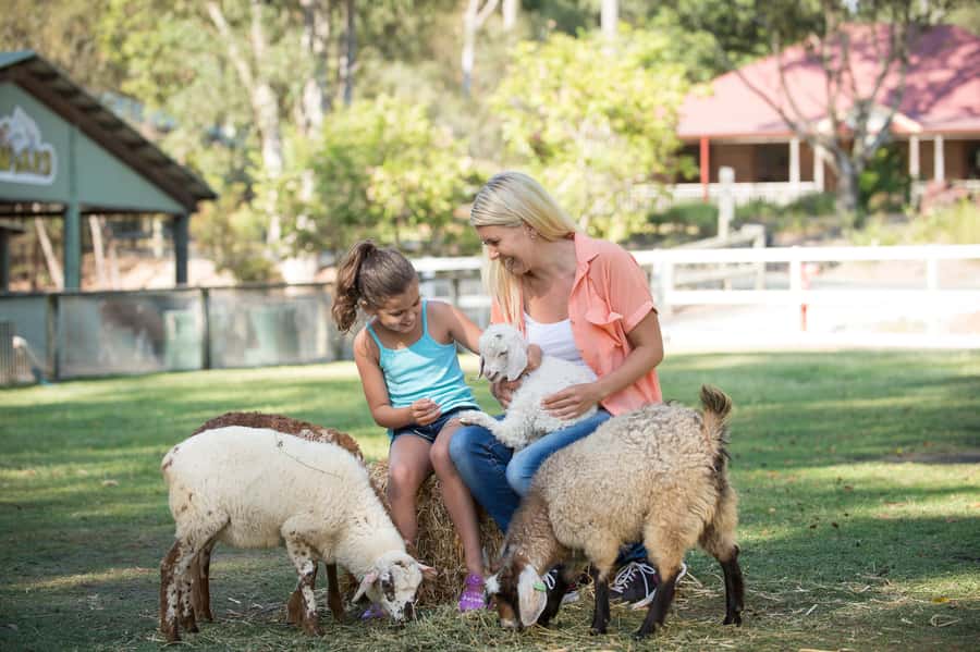 Paradise Country: Ultimate Aussie Farm Experience - Damper making and the taste of the bush
