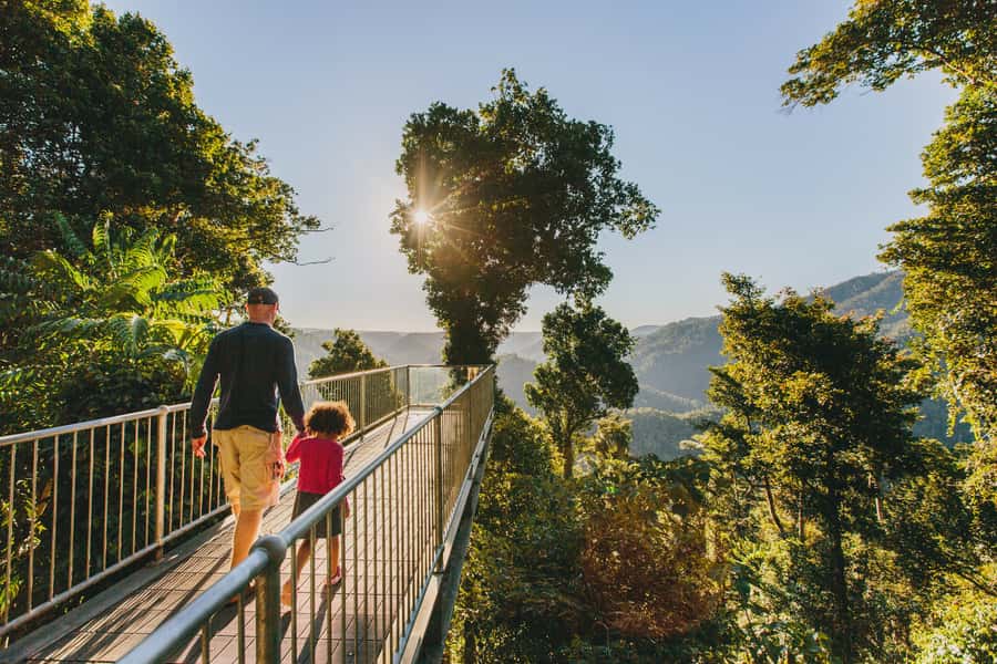 Paronella Park and Mamu Tropical Skywalk Ticket Combo - Mamu Tropical Skywalk above Wooroonoon National Park