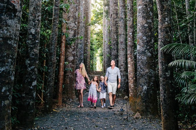 Paronella Park and Millaa Millaa Falls Full-day Tour from Cairns - Key points at a glance